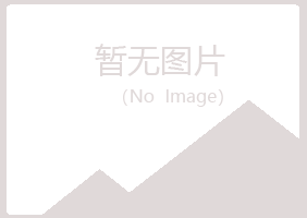 大新县缠绵工程有限公司